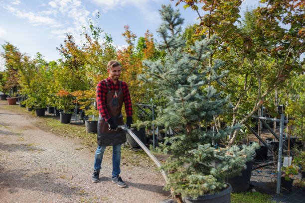 Leaf Removal in Pleasantdale, NJ